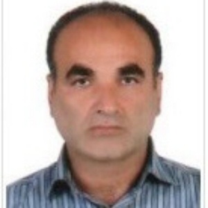 محمد دولت علیزاده