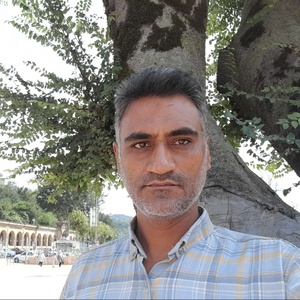 ناصر فتحی