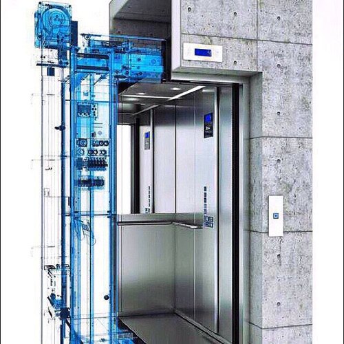 سید مهدی توکلی