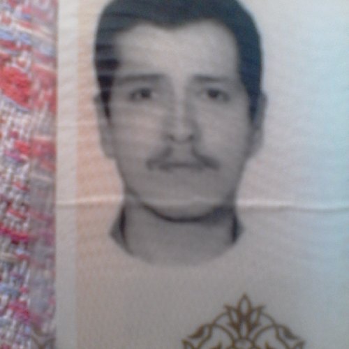 کوروش حبیبی