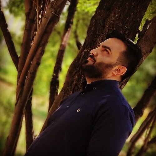 مجید کاشفی ورتونی