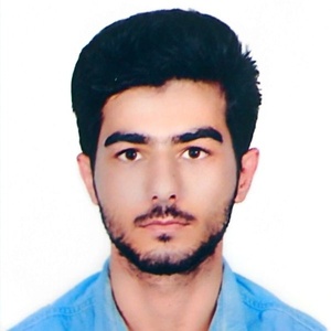 محمدهادی مهرابی