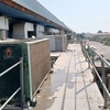 مجید زارعی