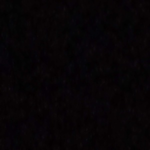 پوریا محمدی زاده