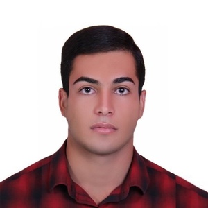 حامد ذالی پور