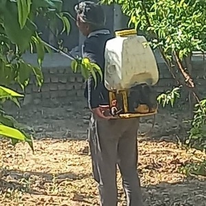 امیر قوامدوست