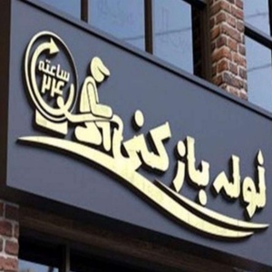 امیررضا شالی