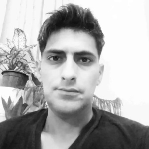 محمدحسین نجفی شرج آباد