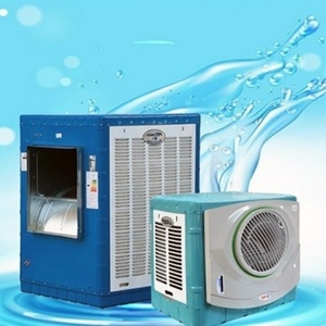 مجتبی قاسم زاده