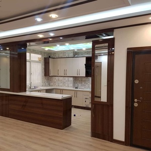 علی دولوروشن