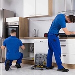 سعید شهبازی رز