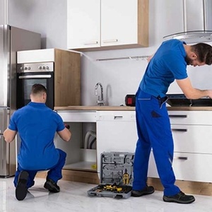 سعید شهبازی رز