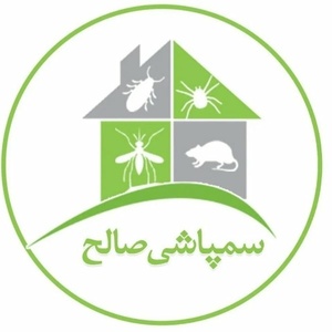 هادی محتشمی گلیان