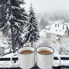 مازیار عبادالهی میرک