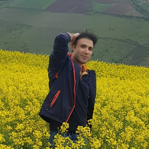 ارمین تفکری