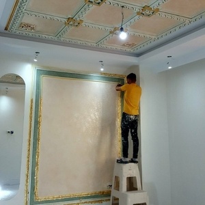 علی فتحی ملک