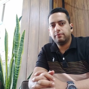 محمدحسین محقق