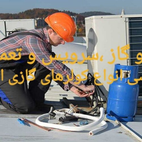 پوریا شفیعی