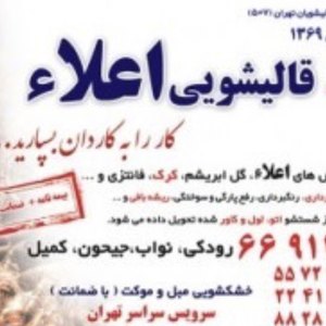 محمدعلي شايگان