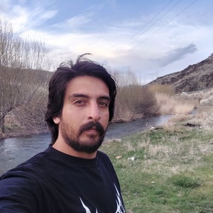 محمدعلی حیدری ماربری