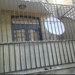 جعفر قربانی سمسوری