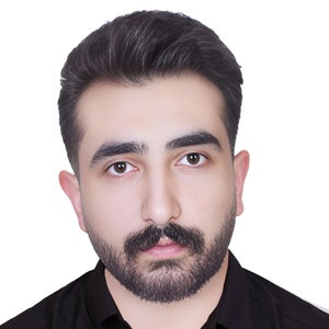 امین حسینقلی زاده