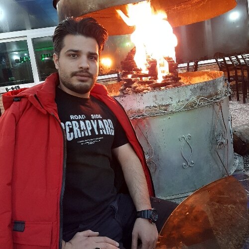 حمیدرضا امینی