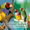 اکبر معتمدی