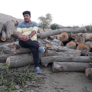 محمد مهدی داورپناه