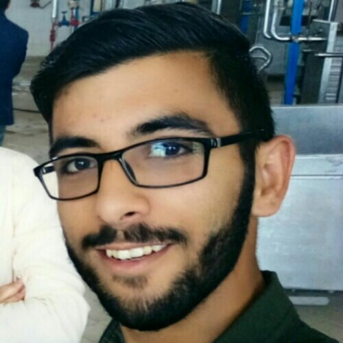 سید مصطفی حسینی