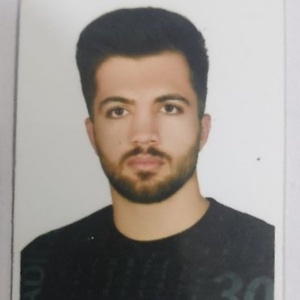 محمدحسین میرزائی