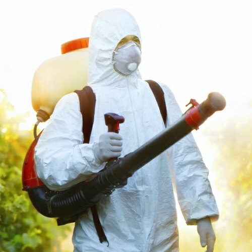 سید سعید محمدی