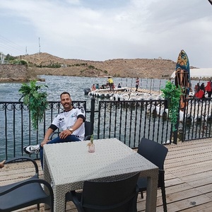 محمد سلیمانی چناری