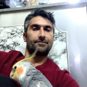 علی اکبر تیموری کنسستانی