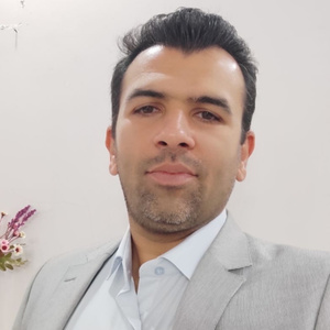 حسین برغمدی