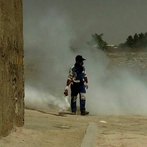 سمیه غفاری پله شاهی