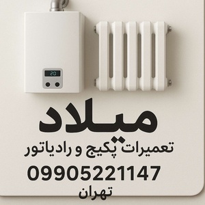 میلاد ملکی الهی