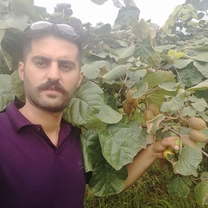 ساسان وکیلی