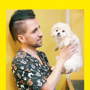 امیررضا بیات