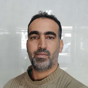 علی سلیمی