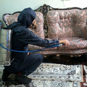 زهره نودهانی