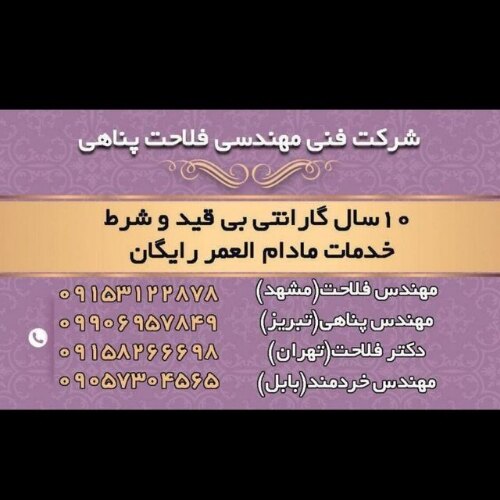 پروین پناهی