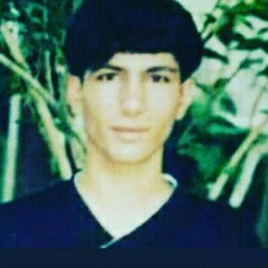 رضا بختیاری