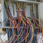 علیرضا قربانی والائی