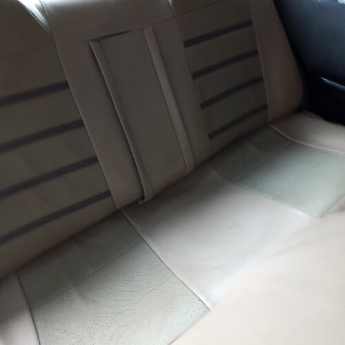 علیرضا رضائیان