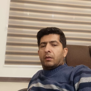 محمدرضا حسینی