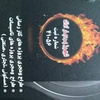 رضا نادری