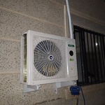 فاطمه باشتنی