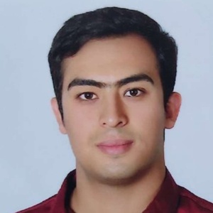 میثم خان محمدی