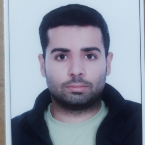 بابک سهندی ملک